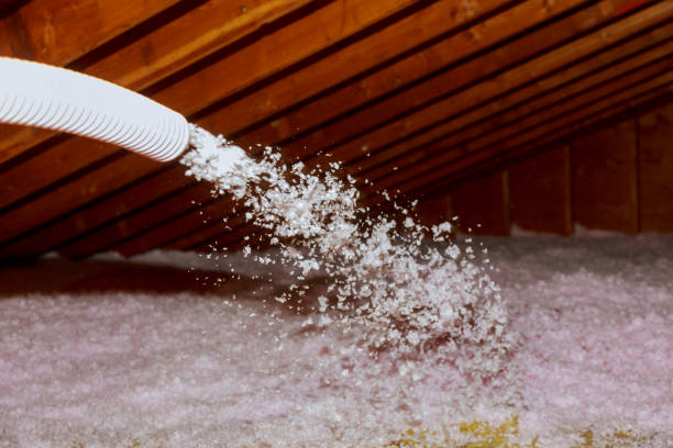 Best Professional Insulation Contractor  in Goodman, MO