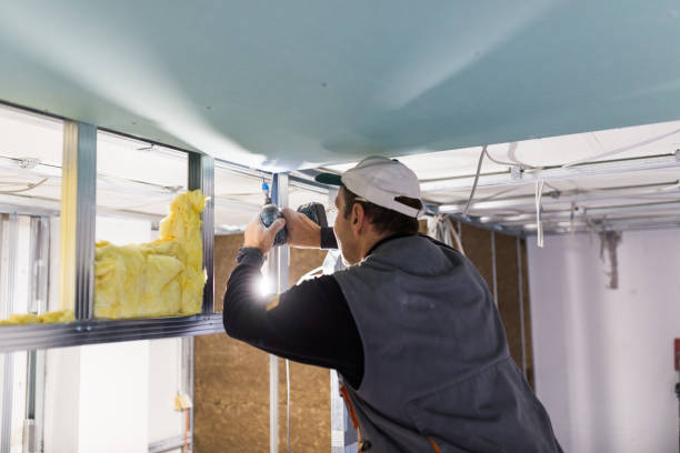 Best Insulation Removal  in Goodman, MO