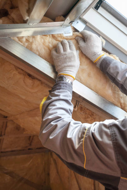 Best Insulation Inspection Services  in Goodman, MO