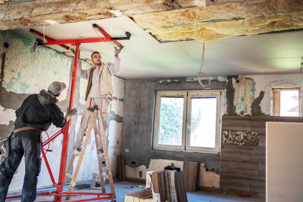 Best Attic Insulation Installation  in Goodman, MO