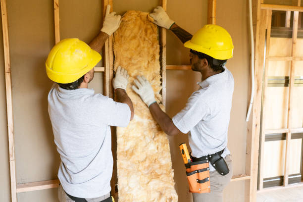Best Commercial Insulation Contractor  in Goodman, MO