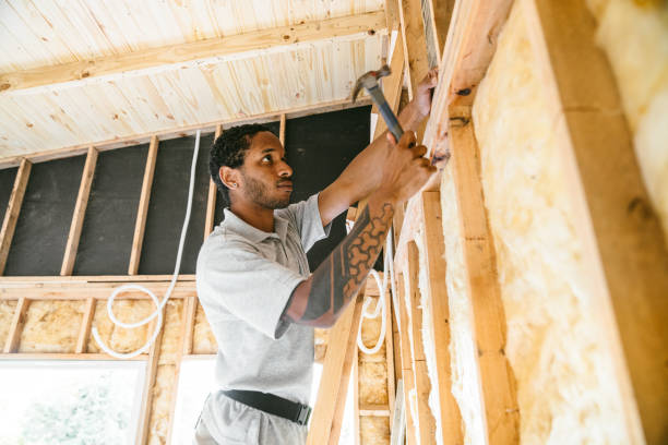 Best Insulation Repair Services  in Goodman, MO