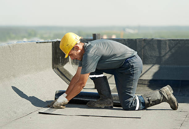 Best Insulation Contractor Near Me  in Goodman, MO