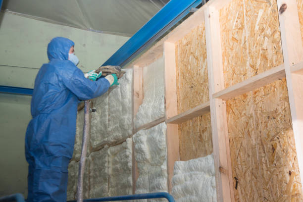 Best Attic Insulation Installation  in Goodman, MO