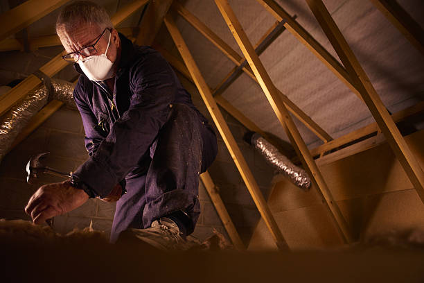 Best Attic Insulation Installation  in Goodman, MO